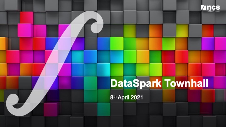 DataSpark Townhall